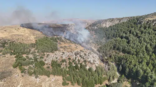 Hatay'da Korkutan Yangın: Ormanlık ve Zeytinlik Alan Alevlere Teslim