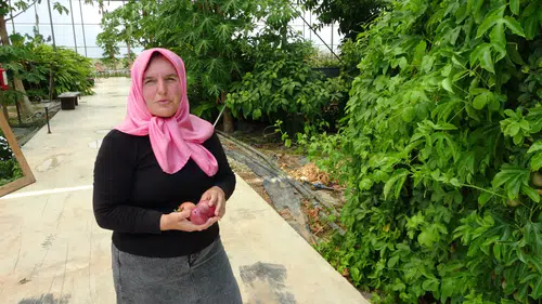 Çatıda Başlayan Hayal Manavgat'ta Tropikal Müze Oldu