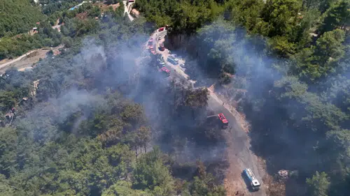 Tarım ve Orman Bakanı Yumaklı Açıkladı: Alanya’daki Yangın Kontrol Altına Alındı