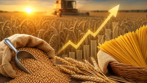 Ekmeklik ve Makarnalık Buğday Fiyatları Prim Yaptı