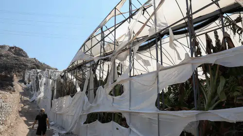 Yangının Yaraları Sarılıyor: Antalya Büyükşehir'den Üreticilere Destek