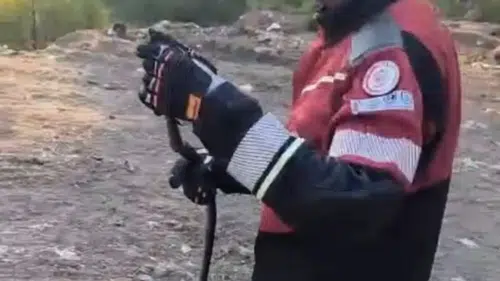 Yerleşim Yerlerine İnen Yılanlar İtfaiye Ekiplerince Doğaya Salındı!