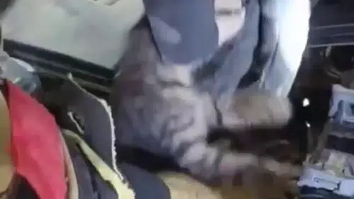 Motor Kısmında Mahsur Kaldı! İtfaiyecinin “Minnoş” Sözleri Yürekleri Isıttı