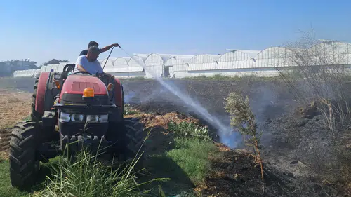 Antalya'da Otluk Alanda Çıkan Yangın Seralara Sıçradı: 1,5 Saatte Kontrol Altına Alındı