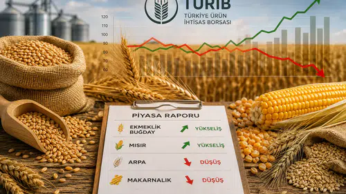 Ekmeklik Buğday ve Mısırda Yükseliş, Arpa ve Makarnalıkta Düşüş