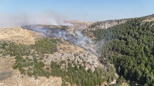 Hatay’da Orman Yangını Söndürüldü!