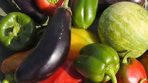 Antalya Toptancı Hali’nde Güncel Fiyatlar Belli Oldu