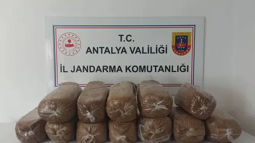 Aksu, Alanya ve Demre'de 785 Kilo Kaçak Tütün Jandarmaya Takıldı