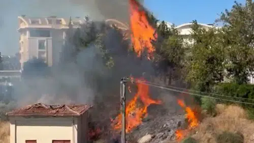 Manavgat'ta Trafo Patladı! Alevler Otluk Alanı Yaktı, Mahalleli Elektriksiz Kaldı