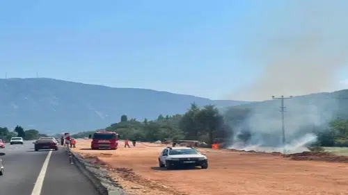 Muğla Menteşe'de Yol Kenarında Yangın: Ekipler Seferber Oldu