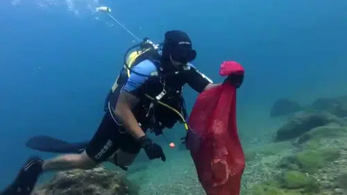 Antalya Kıyıları Tehlikede: Hıdırellez Dilekleri Balıkları Öldürüyor