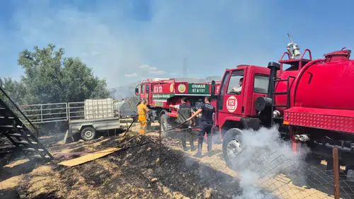 Seleukeia Antik Kenti Yakınında Yangın: Zeytinlik Alan Zarar Gördü