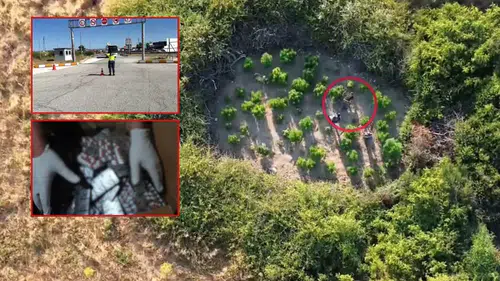 Antalya ve 27 İlde Tonlarca Uyuşturucu ve Milyonlarca Kenevir İmha Edildi