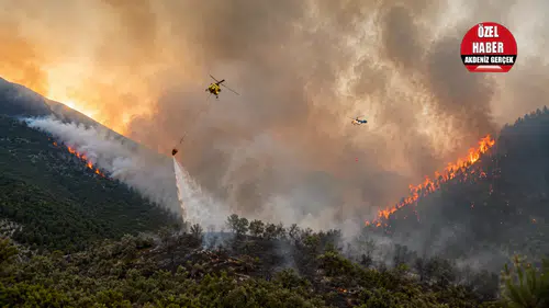 Alanya, Kumluca ve Kaş Yangınlarının Bilançosuna Ulaşıldı