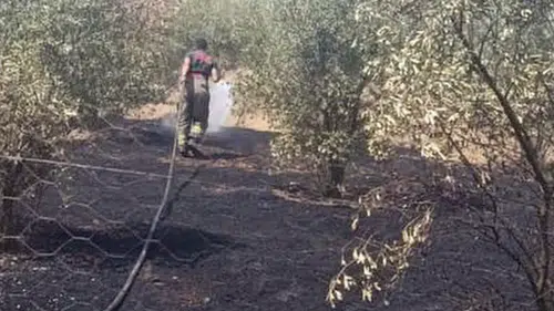 Dörtyol'da Bahçe Yangını Büyümeden Kontrol Altına Alındı