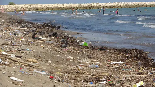 Mersin Kıyılarında Kirlilik Alarmı: Aşırı Yağışlar Karasal Atıkları Denize Taşıdı