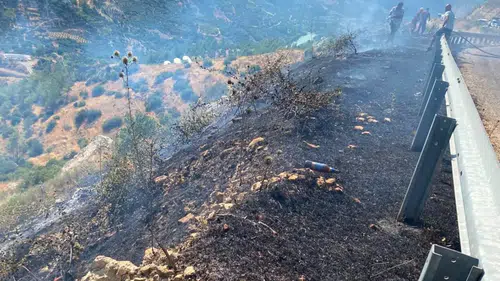 Alevler Ormana İlerlemeden Durduruldu! Mersin'deki Yangın Kontrol Altında