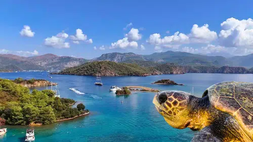 Fethiye-Kaş Deniz Milli Parkı: Deniz Ekosisteminde Yeni Dönem Başlıyor
