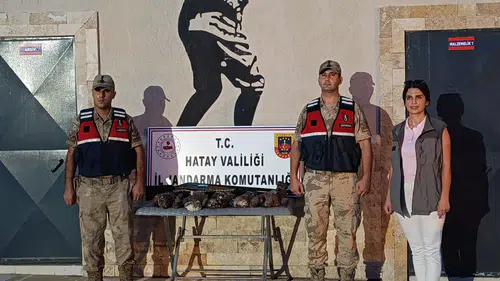 Antakya'da Katliam Gibi Av: Koruma Altındaki Arı Şahinlerini Vuran Kişiye Rekor Ceza!