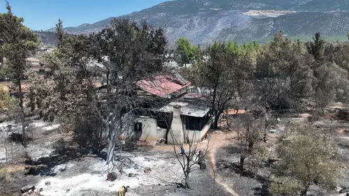Kaş'ta Orman Yangını Çavdır ve Palamut Mahallelerini Vurdu!