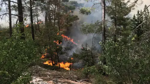 Akseki’deki Orman Yangını Kontrol Altına Alındı