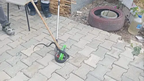 Hatay'da Yerleşim Yerlerinde Görülen Yılanlar Doğaya Salındı