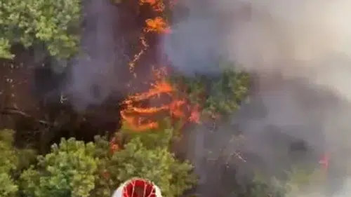 Aksu'da Korkutan Orman Yangını!