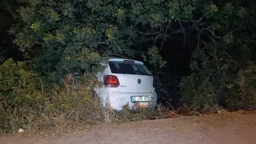Manavgat'ta Bahçeye Uçan Otomobili Ağaç Kurtardı