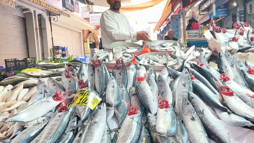 İzmir'de Palamut Bolluğu: Tanesi 100 Liradan Satılan Balık Tezgahları Şenlendirdi