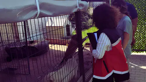 Antalya'da Sıkı Denetim: Hayvan Sağlığı ve İşletmeler Kontrol Edildi