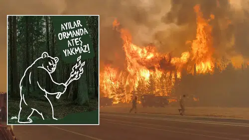 OGM'den Anlamlı Paylaşım: "Ayılar Ormanda Ateş Yakmaz!"