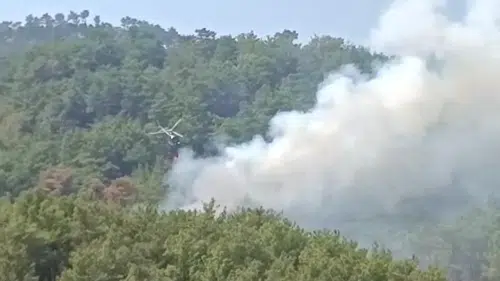 Kozan'da Orman Yangını Yeniden Başladı: Havadan ve Karadan Müdahale