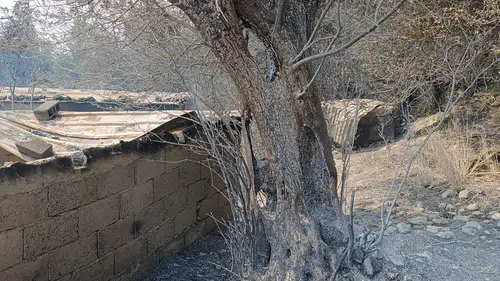 Adana Kozan’daki Yangın Felaketinden Geriye Kalanlar!