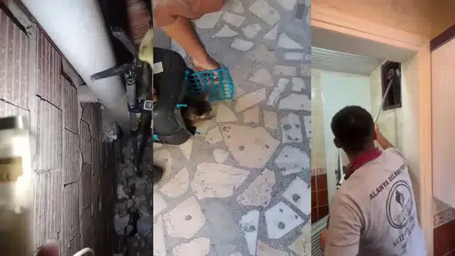 Alanya'da Havalandırma Boşluğuna Düşen Kedi Kurtarıldı