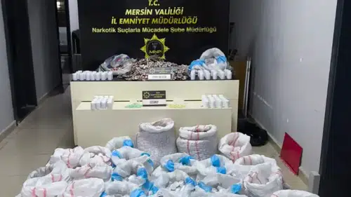 Mersin Şehir Hastanesi Otoparkında 256 Bin Sentetik Hap Yakalandı