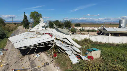 İmamoğlu’nda Süper Hücre Felaketi: 20 Bin Civciv Telef Oldu, Muz Seraları Yıkıldı