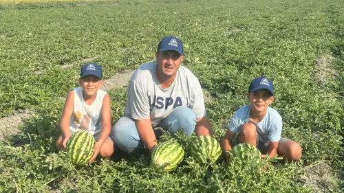 Hatay'da Karpuz Hasadında Rekolte Sevinci: Dönüm Başına 5 Ton
