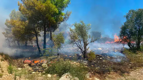 Serik'te Alevler Ormanı ve Seraları Tehdit Etti