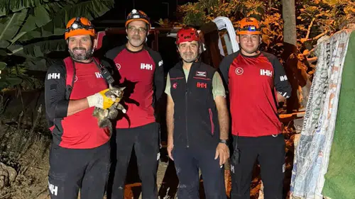 Alanya'da 4 Gün Önce Sera Kuyusuna Düşen Kedi Kurtarıldı