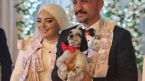 Trabzon'daki Düğünde Sıra Dışı Takı: Damada Av Köpeği Yavrusu Hediye Edildi