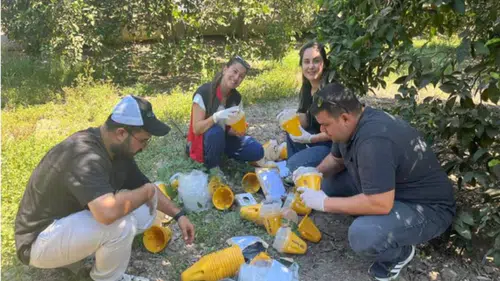 Akdeniz’de Meyve Sineği ve Kokarcaya Karşı Saha Denetimi