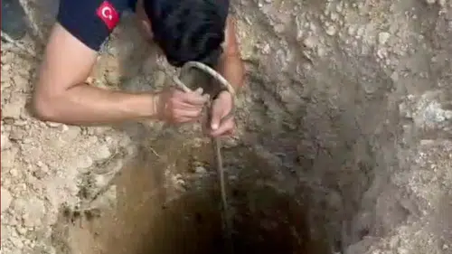 Adana'da Kuyuya Düşen Köpek İtfaiye Tarafından Kurtarıldı