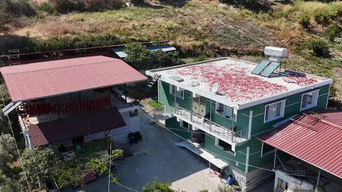 Hatay’da Kırmızı Telaş: Kurutmalık Biberler Balkonları Süsledi!