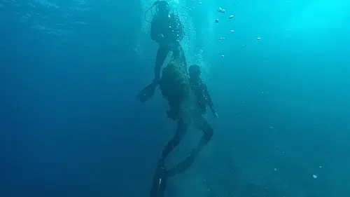 Akdeniz'in Ölüm Tuzakları Sökülüyor: Antalya'da 2 Yılda 11 Kilometre Hayalet Ağ