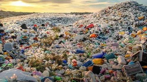 "Doğu Akdeniz Plastik Atık Çöplüğü Değildir": 82 Kurumdan Acil Yasak Çağrısı