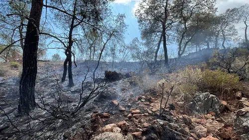 Kemer Çamyuva'da Orman Yangını Çıktı