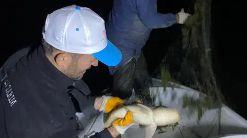Kovada Gölü'nde Kaçak Av Operasyonu: 800 Metrelik Ağ Ele Geçirildi