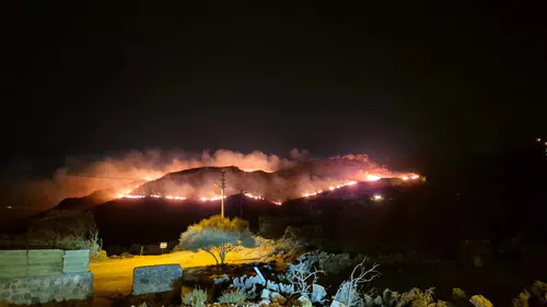 Bodrum'da Gece Yarısı Yangın! Alevler Rüzgârın Etkisiyle Hızla Yayıldı
