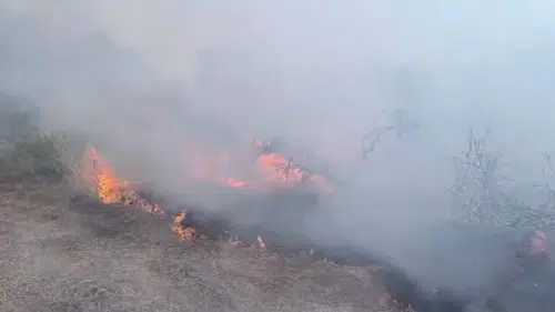 Hatay Hassa'da Zeytinlik ve Anız Yangını Kısa Sürede Kontrol Altına Alındı
