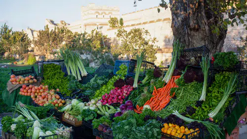 Antalya Toptancı Hali’nde Güncel Tablo Belli Oldu